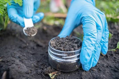 Agriculture & Soil Testing