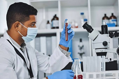 Schools & STEM Education
